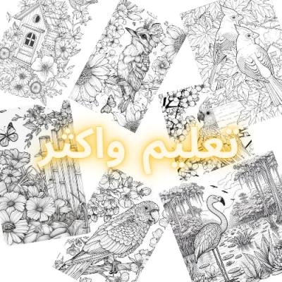 20 صفحة من تلوين العصافير وبعض الحيوانات بصيغة PDF